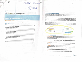 Cover of The 8 Stances of a Scrum Master